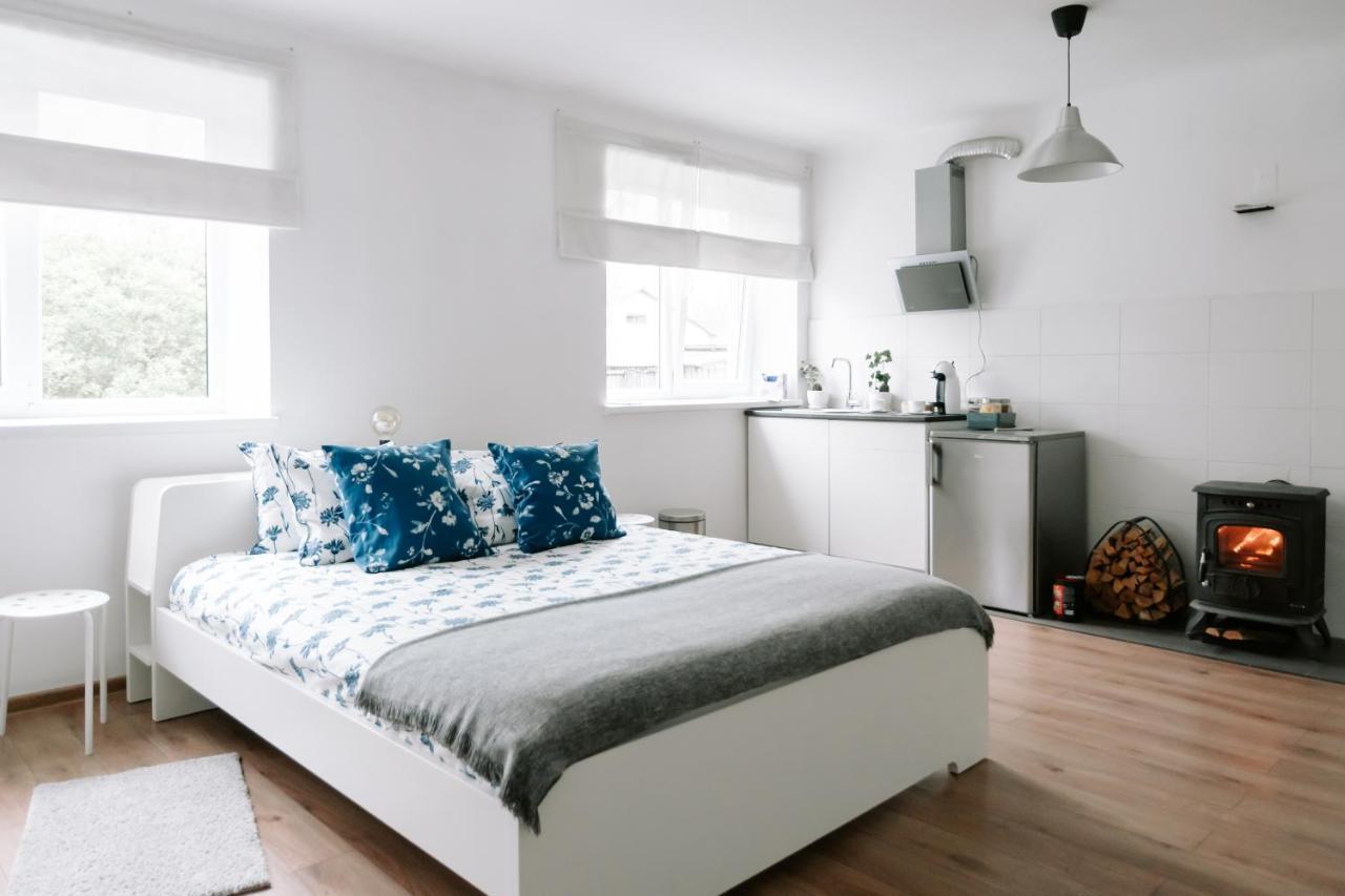 Lake Aluksne Studio Apartment Ngoại thất bức ảnh